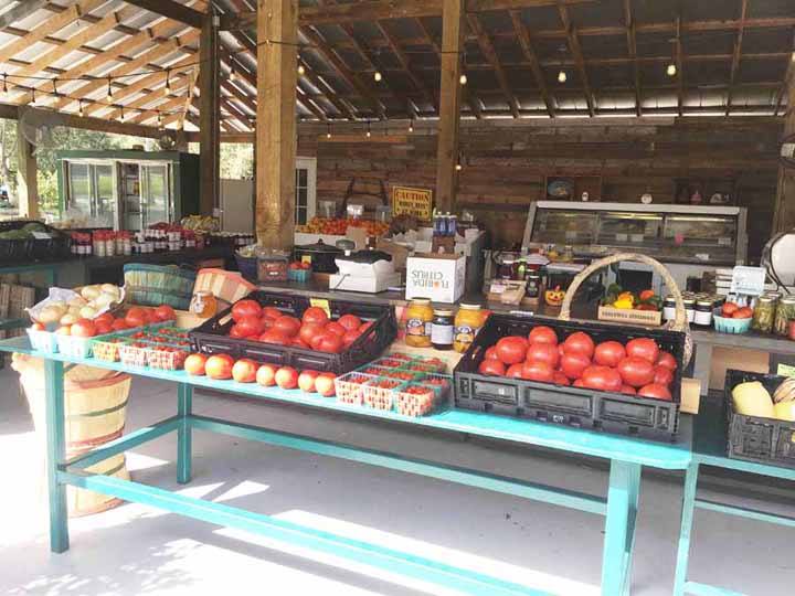 Vegetable stand at Peterson Groves Vero Beach Florida