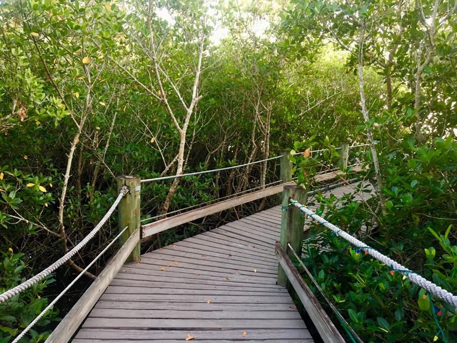 The boardwalk at the Environmental Learning Center Vero Beach Florida