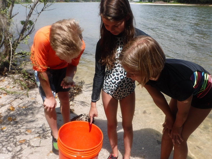 Three kids looking at what they caught in their pail 
