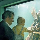 man and baby looking at fish through glass window