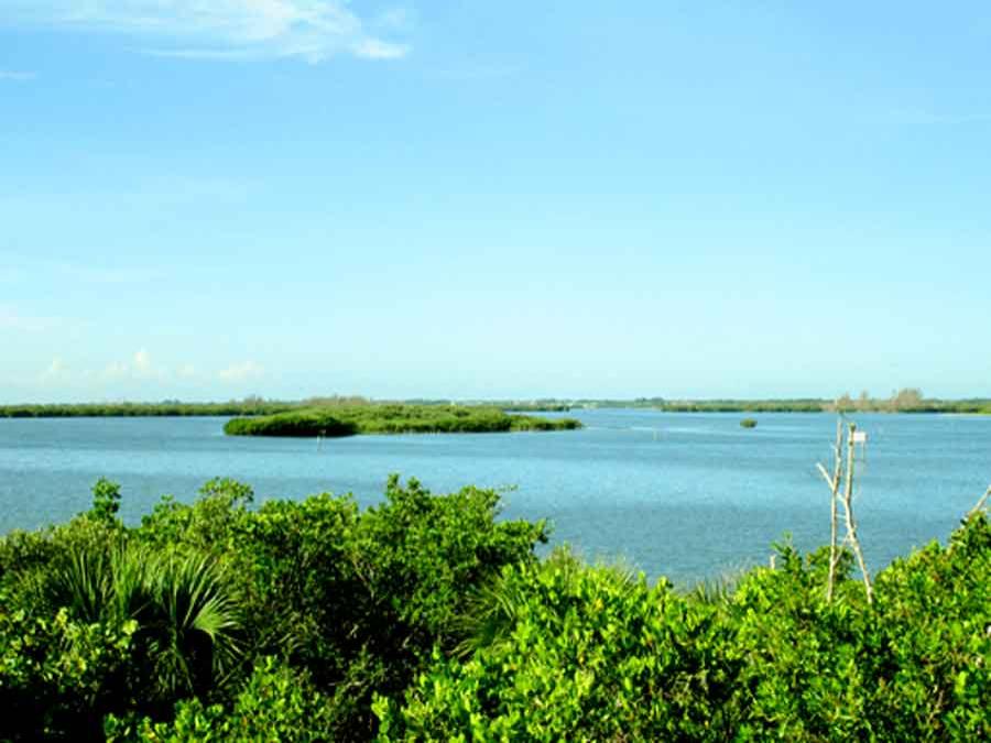 view of Pelican Island from land